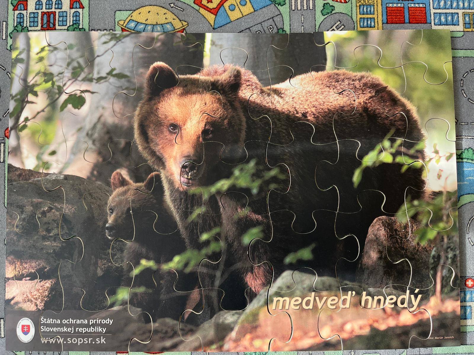 473436885_122138104250521271_7822305680845026735_n
