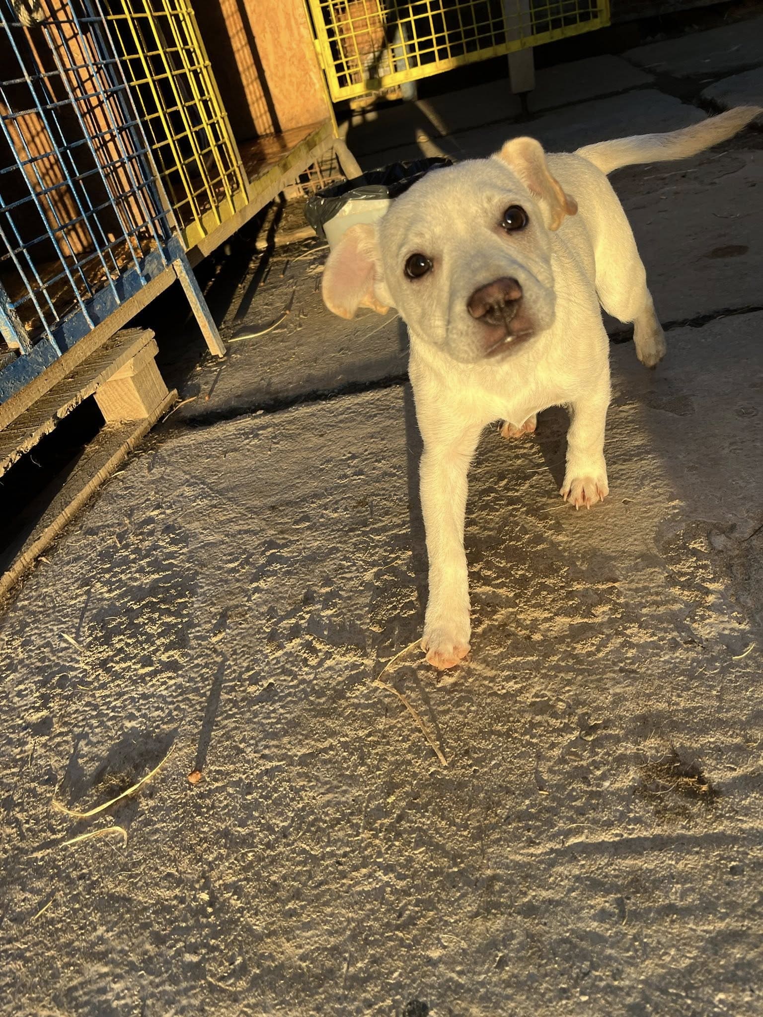 584625853_122198111558521271_6160906112061860356_n