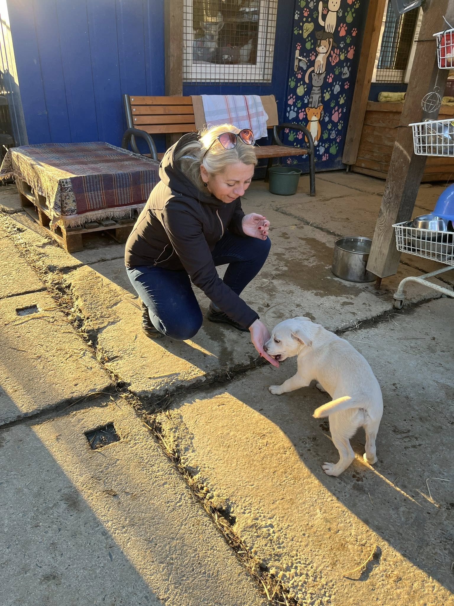 585206331_122198111306521271_964390965344725839_n