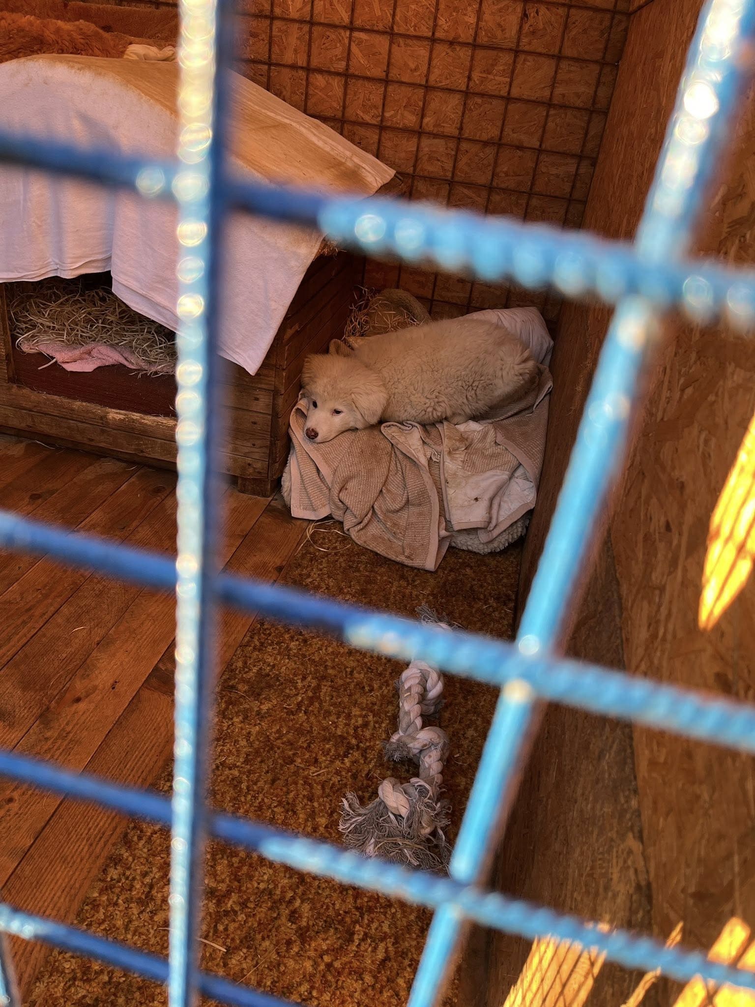 586041965_122198111252521271_9176178804246206823_n