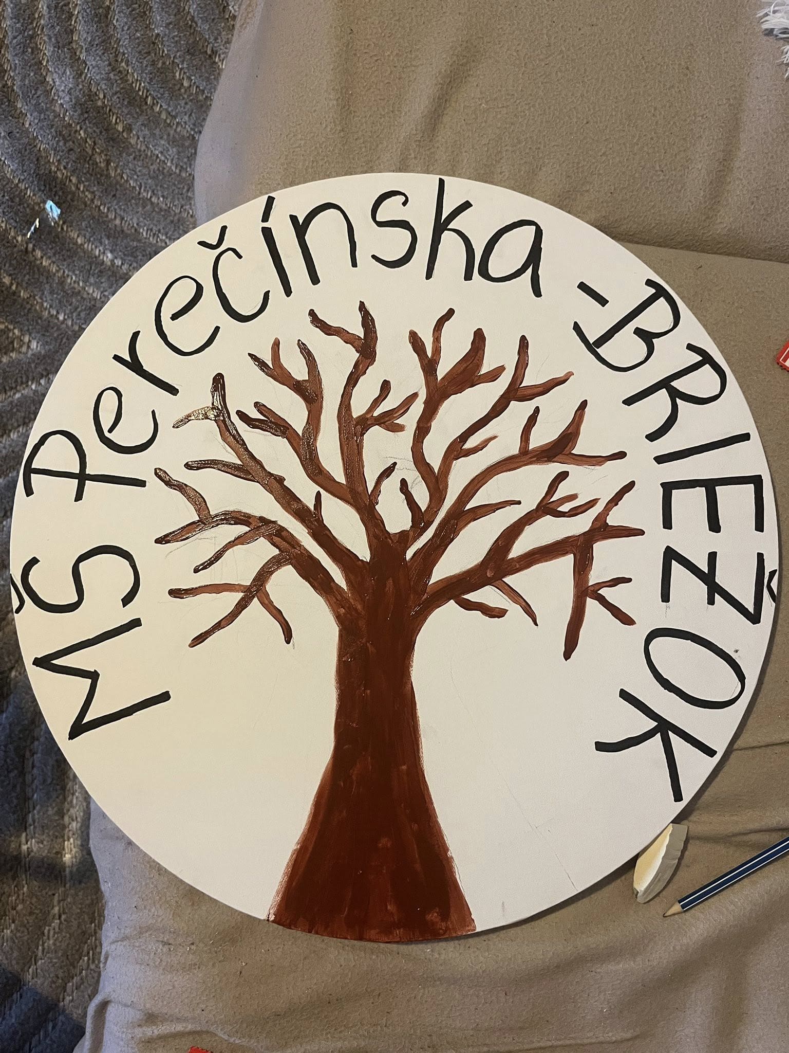 574571630_122195386622521271_264100542029075663_n