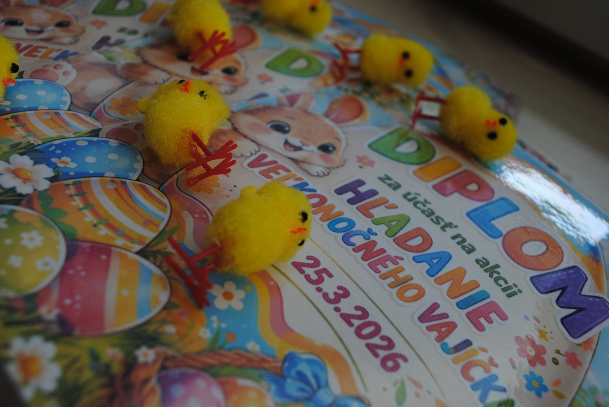 657562065_122224500998521271_8577977623915395557_n